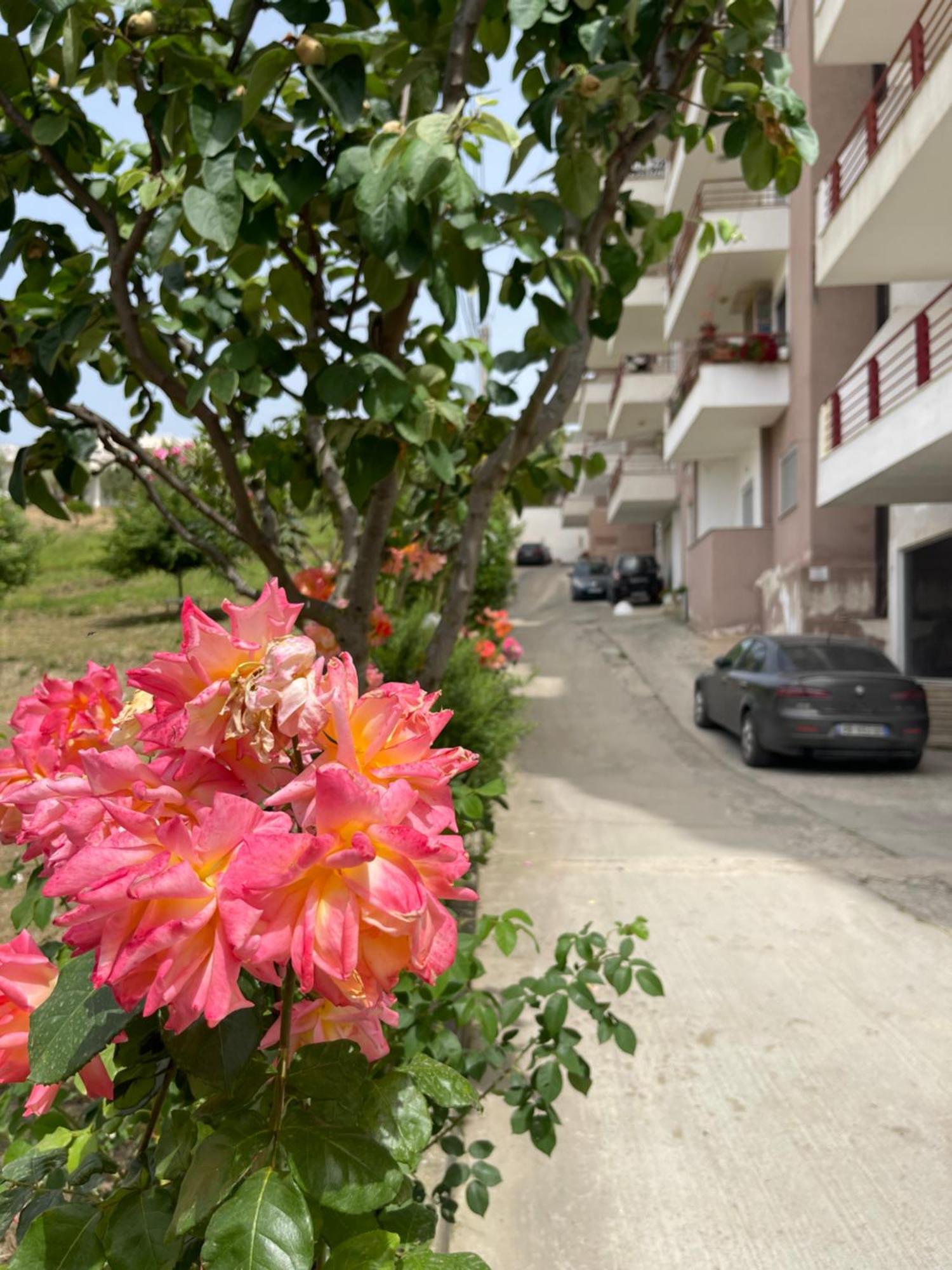Beach Apartments Durres Durrës